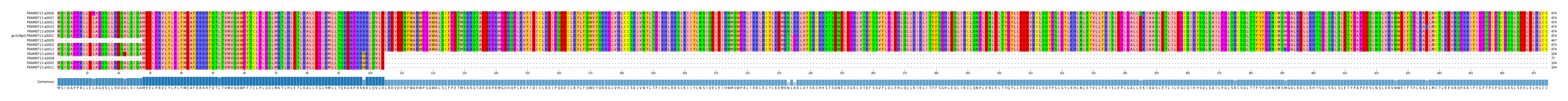 Multiple Alignments (by translate haplotype similarity)