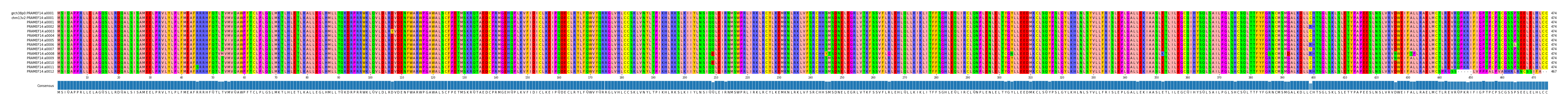 Multiple Alignments (by translate haplotype frequency)