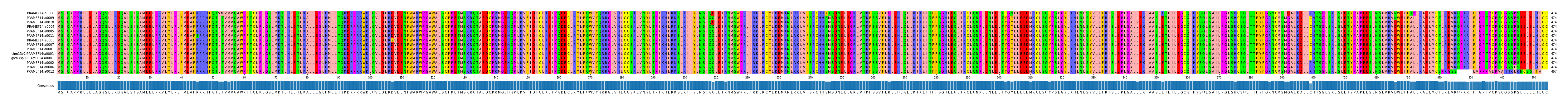 Multiple Alignments (by translate haplotype similarity)