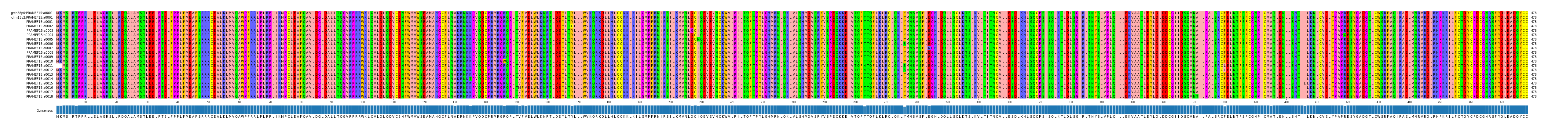 Multiple Alignments (by translate haplotype frequency)