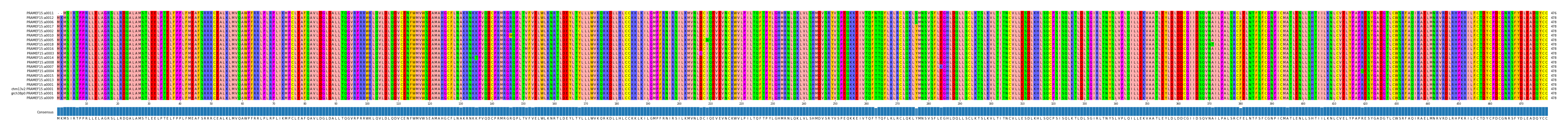 Multiple Alignments (by translate haplotype similarity)