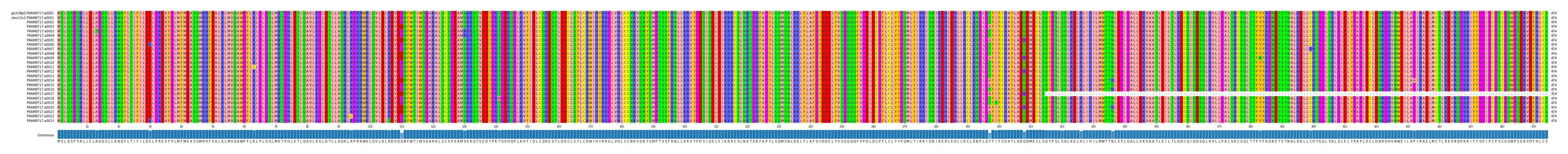 Multiple Alignments (by translate haplotype frequency)