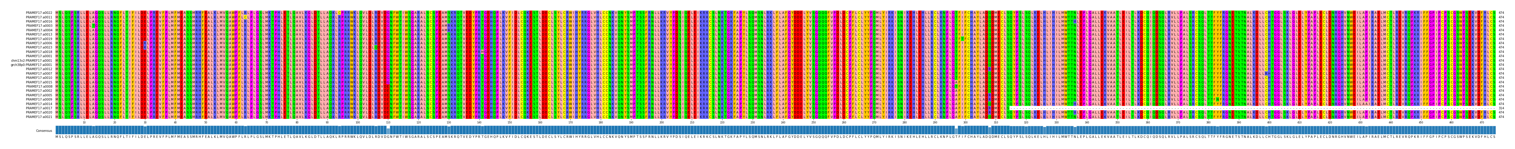 Multiple Alignments (by translate haplotype similarity)