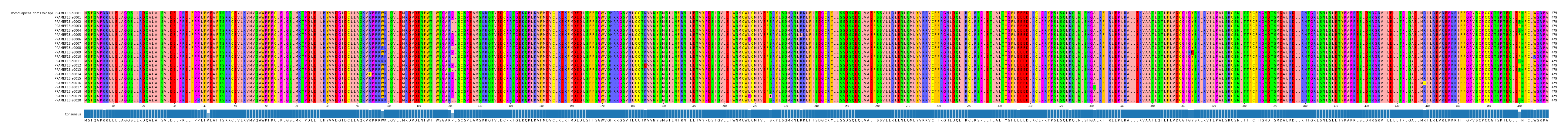 Multiple Alignments (by translate haplotype frequency)