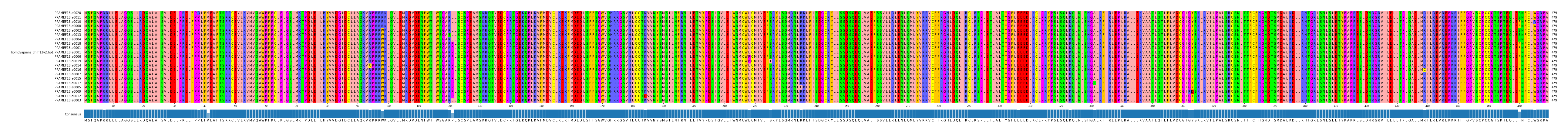 Multiple Alignments (by translate haplotype similarity)
