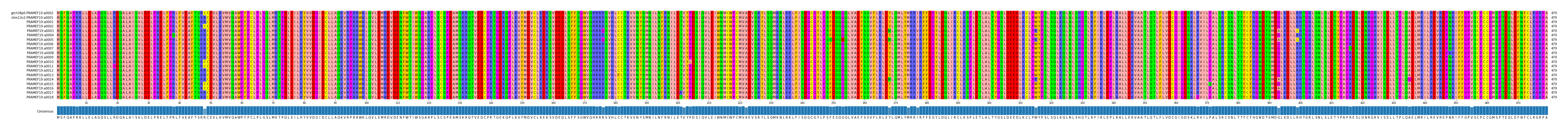 Multiple Alignments (by translate haplotype frequency)