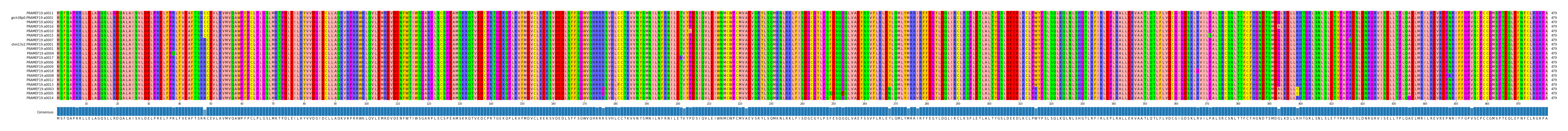 Multiple Alignments (by translate haplotype similarity)