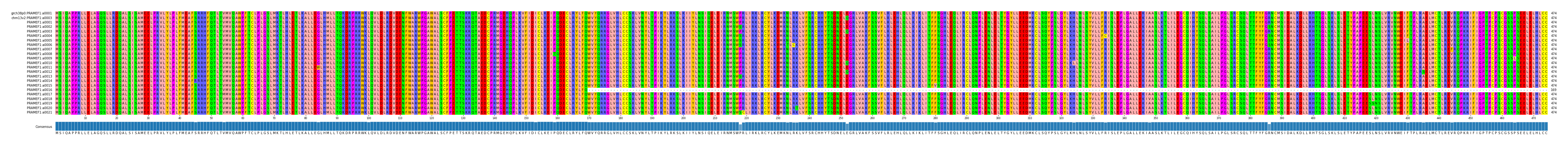 Multiple Alignments (by translate haplotype frequency)