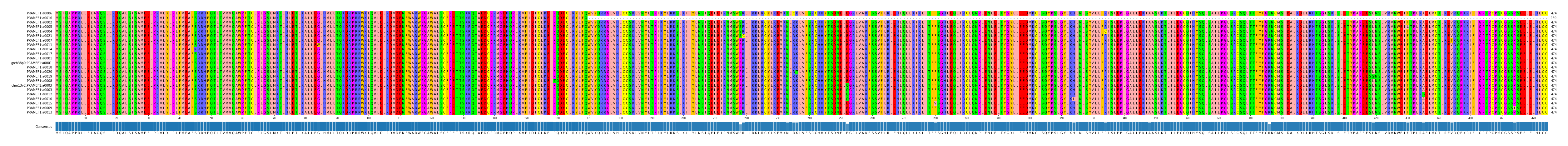 Multiple Alignments (by translate haplotype similarity)