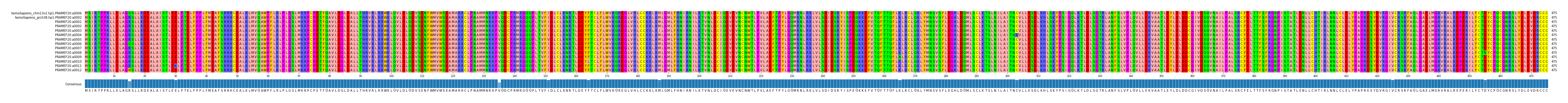 Multiple Alignments (by translate haplotype frequency)