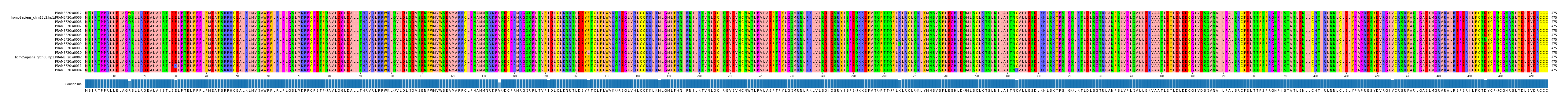 Multiple Alignments (by translate haplotype similarity)