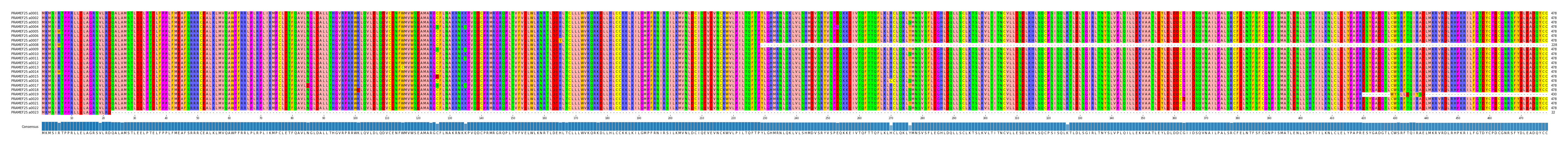 Multiple Alignments (by translate haplotype frequency)