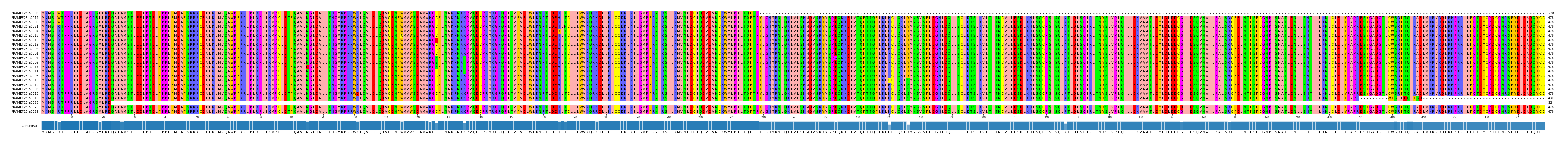 Multiple Alignments (by translate haplotype similarity)
