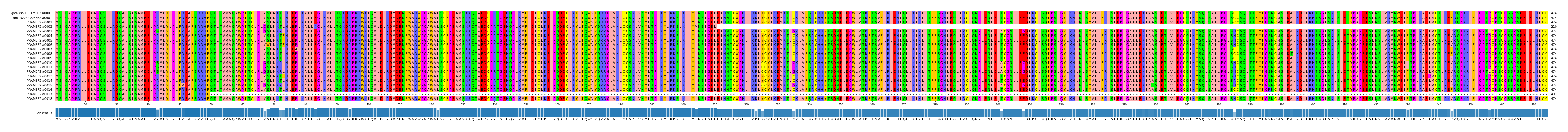 Multiple Alignments (by translate haplotype frequency)