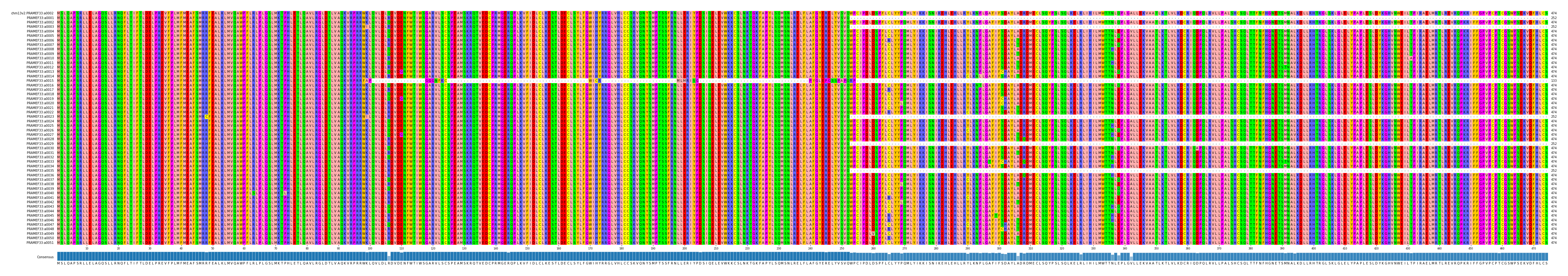 Multiple Alignments (by translate haplotype frequency)