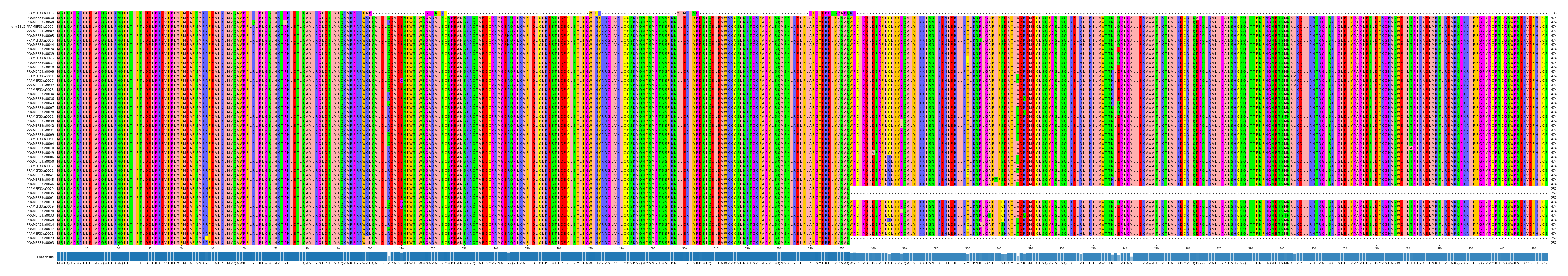 Multiple Alignments (by translate haplotype similarity)