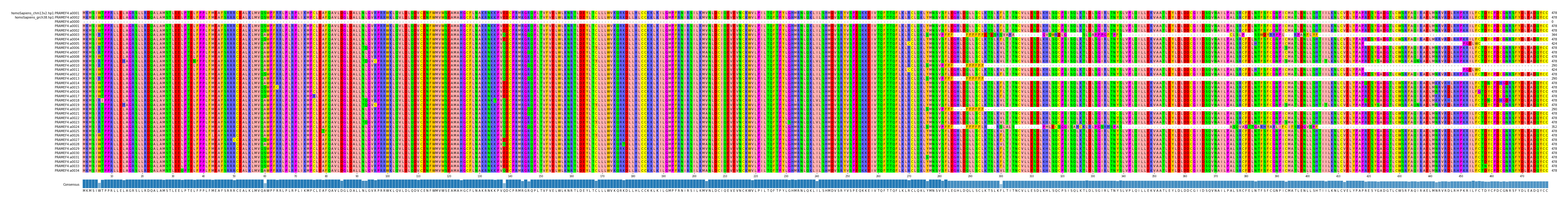 Multiple Alignments (by translate haplotype frequency)