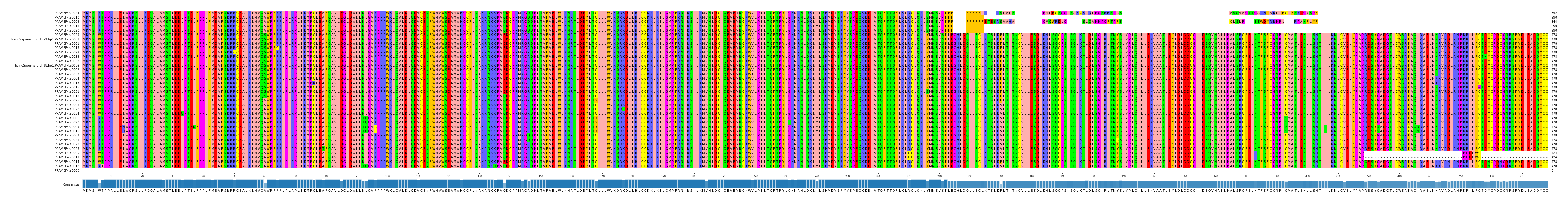 Multiple Alignments (by translate haplotype similarity)
