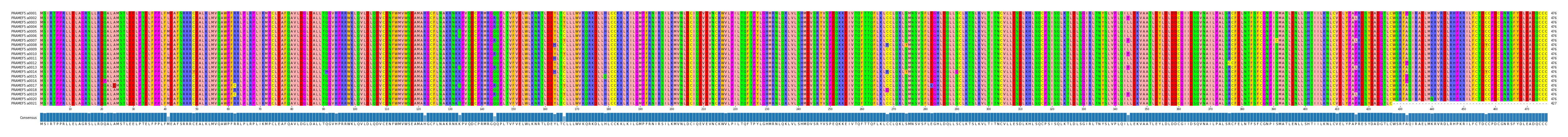 Multiple Alignments (by translate haplotype frequency)