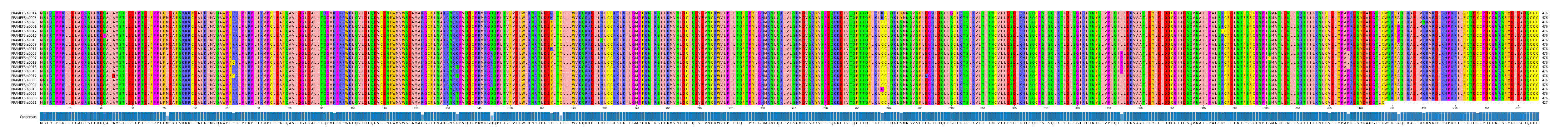 Multiple Alignments (by translate haplotype similarity)