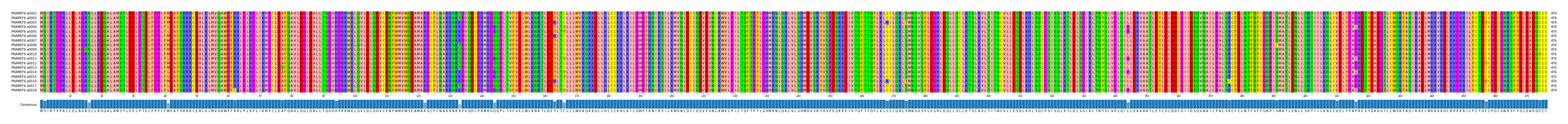 Multiple Alignments (by translate haplotype frequency)