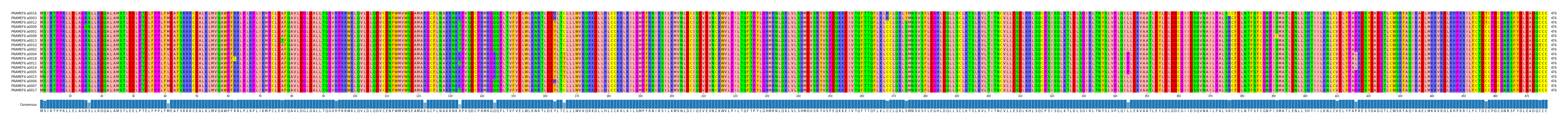 Multiple Alignments (by translate haplotype similarity)