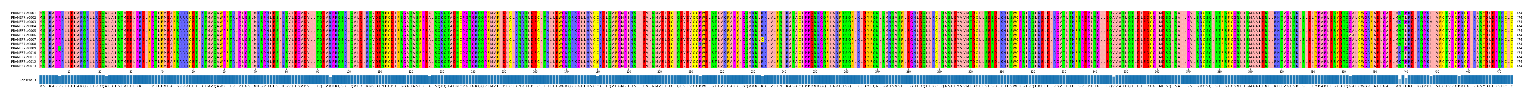 Multiple Alignments (by translate haplotype frequency)