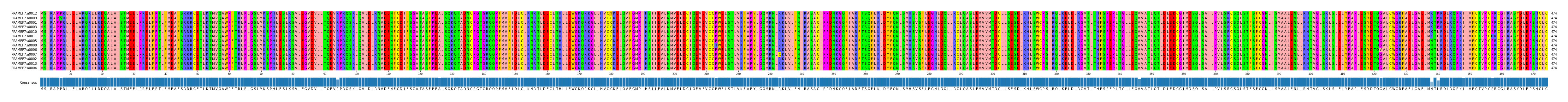 Multiple Alignments (by translate haplotype similarity)