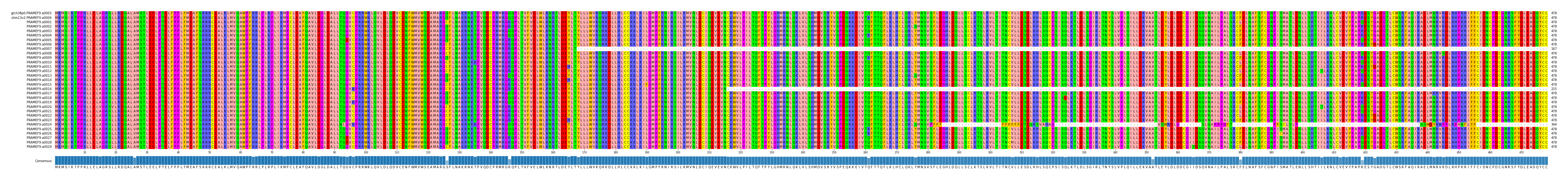 Multiple Alignments (by translate haplotype frequency)