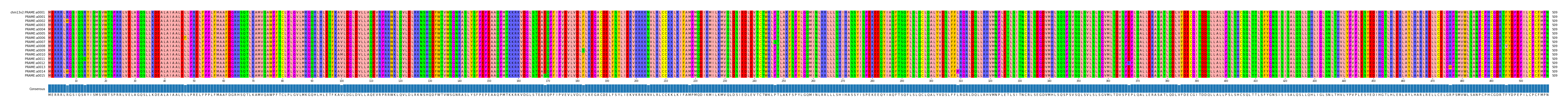 Multiple Alignments (by translate haplotype frequency)
