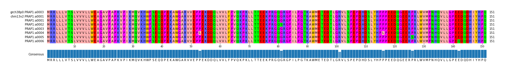 Multiple Alignments (by translate haplotype frequency)