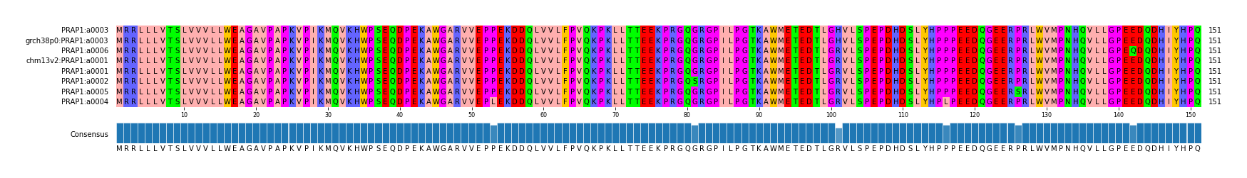 Multiple Alignments (by translate haplotype similarity)