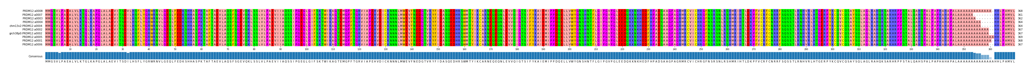 Multiple Alignments (by translate haplotype similarity)