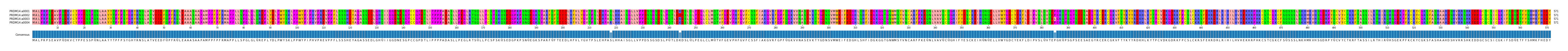 Multiple Alignments (by translate haplotype frequency)