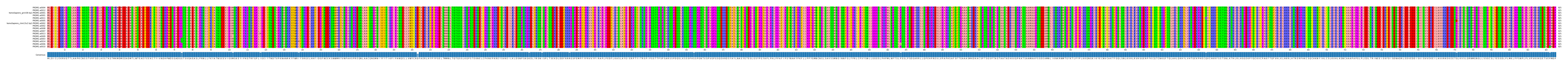Multiple Alignments (by translate haplotype similarity)