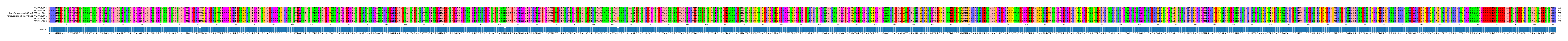 Multiple Alignments (by translate haplotype similarity)
