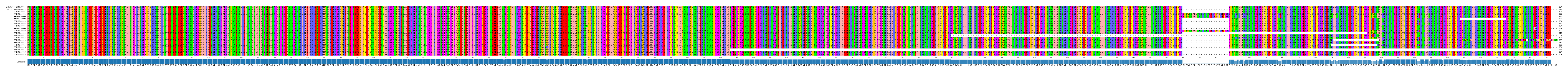 Multiple Alignments (by translate haplotype frequency)