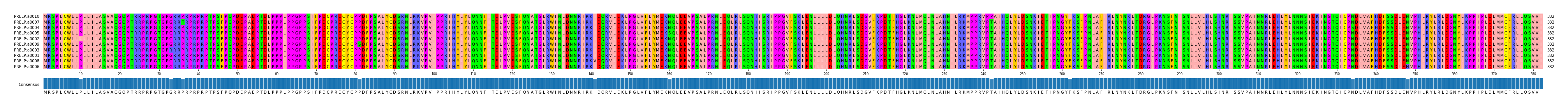 Multiple Alignments (by translate haplotype similarity)