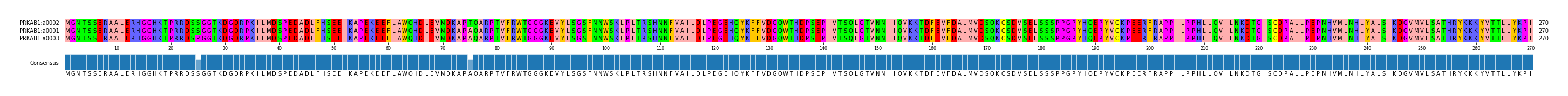 Multiple Alignments (by translate haplotype similarity)