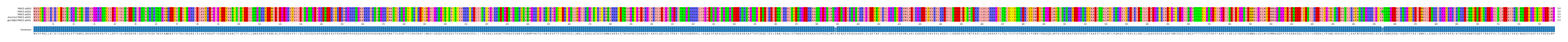 Multiple Alignments (by translate haplotype similarity)