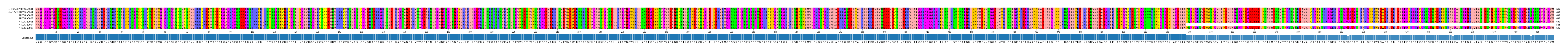 Multiple Alignments (by translate haplotype frequency)