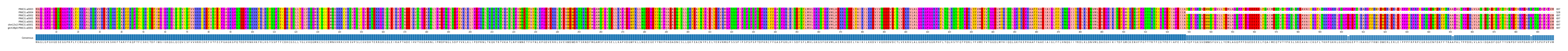 Multiple Alignments (by translate haplotype similarity)