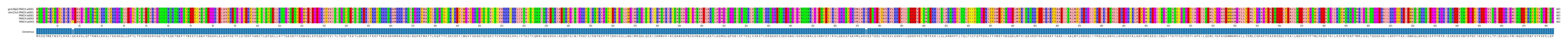 Multiple Alignments (by translate haplotype frequency)