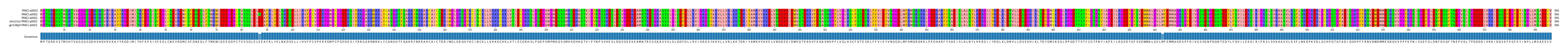 Multiple Alignments (by translate haplotype similarity)