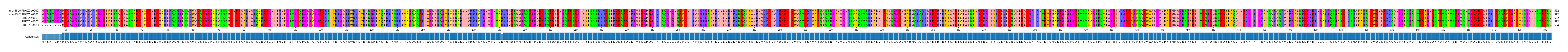Multiple Alignments (by translate haplotype frequency)