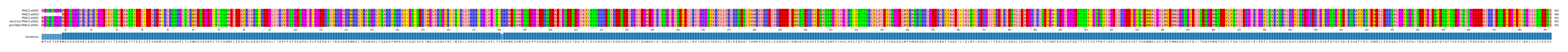 Multiple Alignments (by translate haplotype similarity)