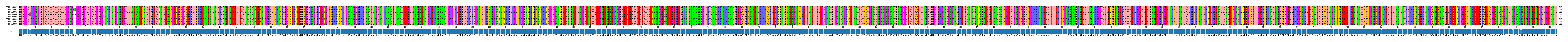 Multiple Alignments (by translate haplotype frequency)