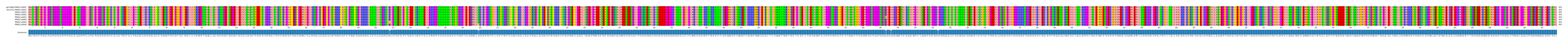 Multiple Alignments (by translate haplotype frequency)