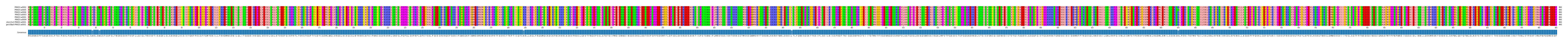 Multiple Alignments (by translate haplotype similarity)