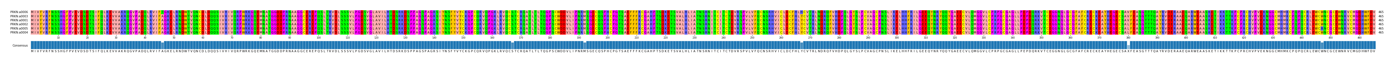 Multiple Alignments (by translate haplotype similarity)